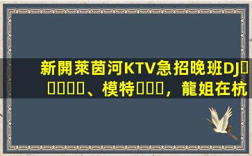 新開萊茵河KTV急招晚班DJ、模特，龍姐在杭州帶你上班
